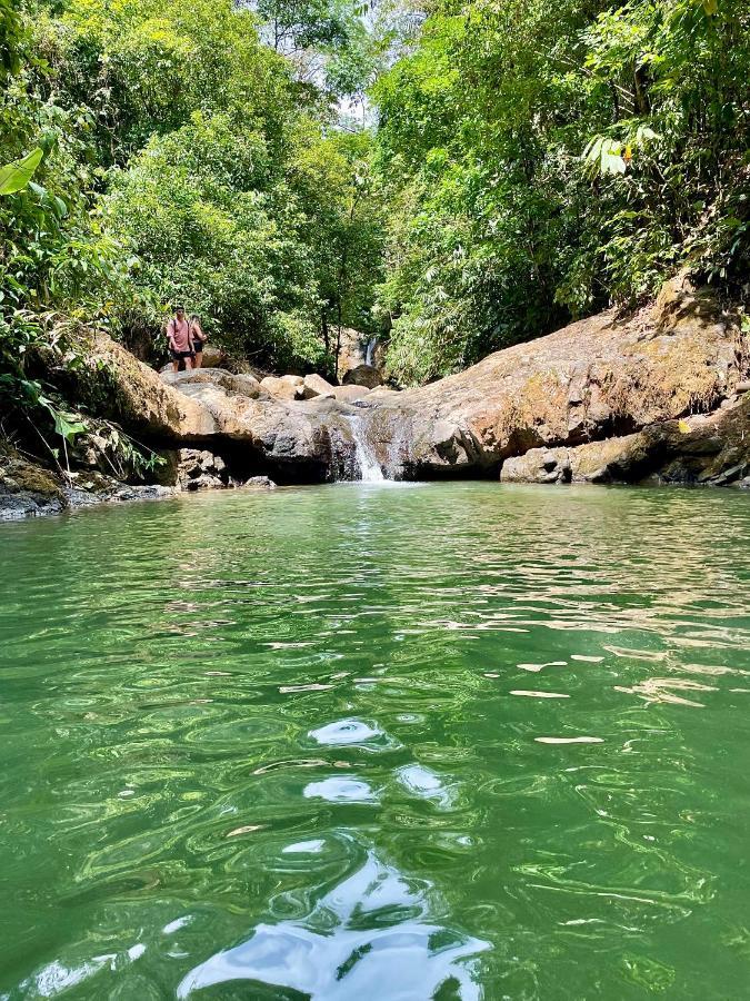 Cabinas Chazu #2 Quepos Ngoại thất bức ảnh